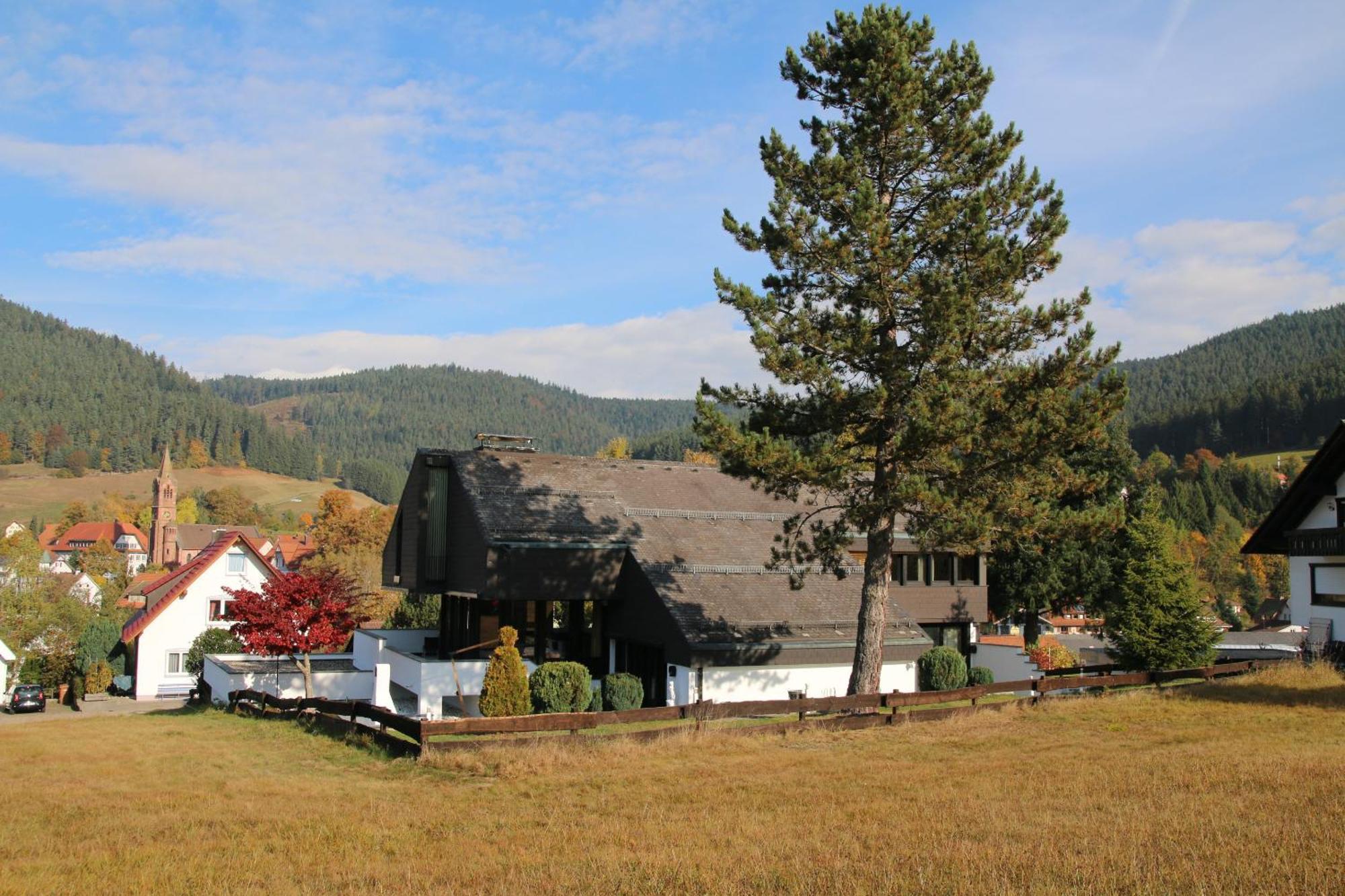 Luxus-Landhaus Im Schwarzwald/Baiersbronn Mit Pool エクステリア 写真