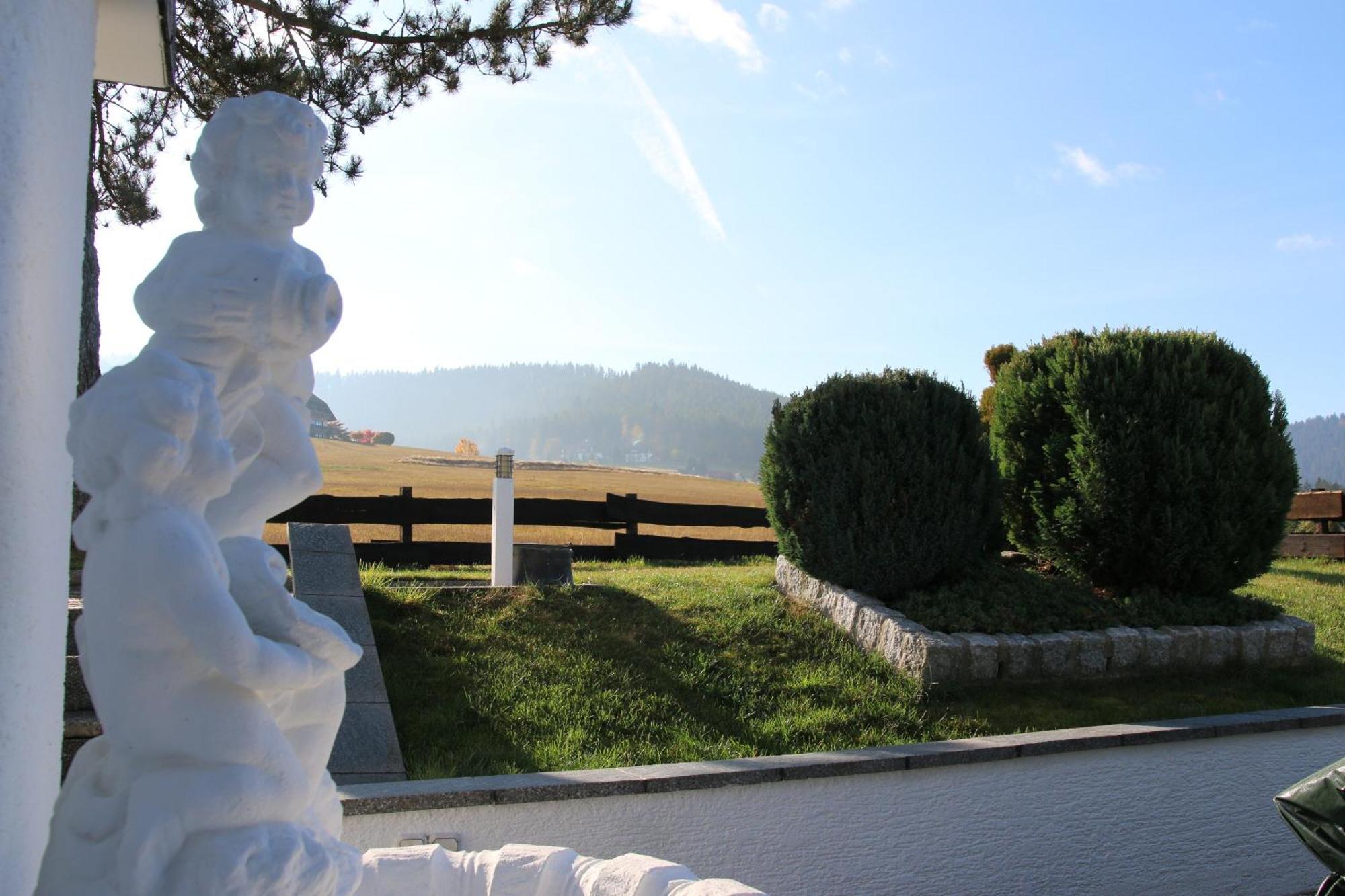 Luxus-Landhaus Im Schwarzwald/Baiersbronn Mit Pool エクステリア 写真