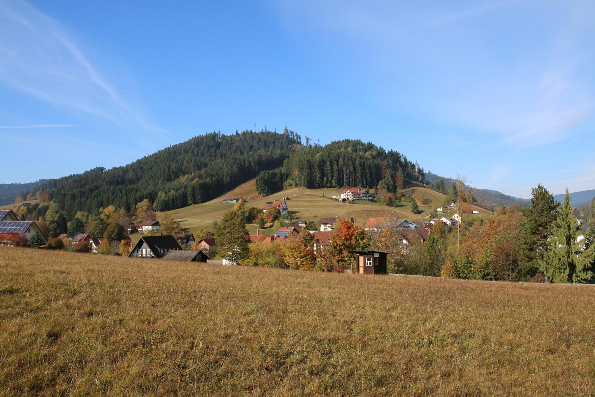Luxus-Landhaus Im Schwarzwald/Baiersbronn Mit Pool エクステリア 写真